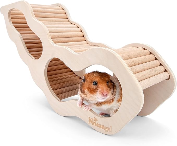 Hamster House w/Climbing Ladder for Similar-Sized Pets