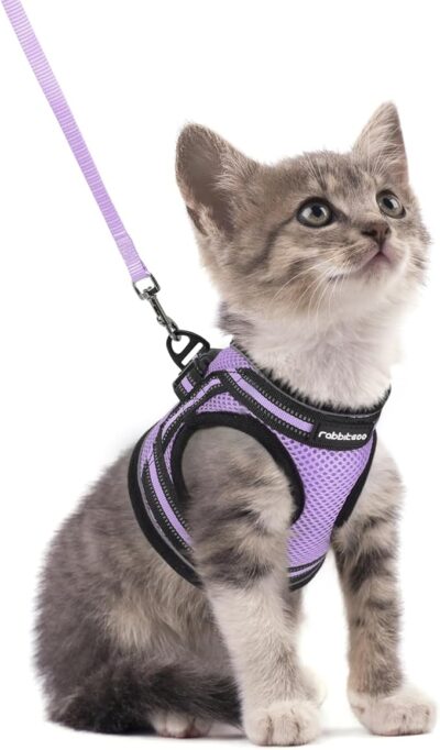 Rabbitgoo Cat Harness and Leash Set