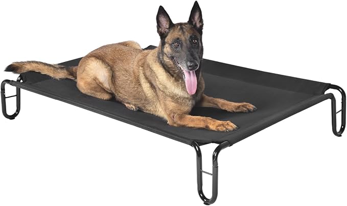 Elevated Outdoor Dog Bed