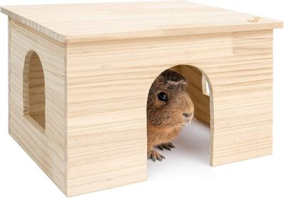 Rodent Wood House with Window