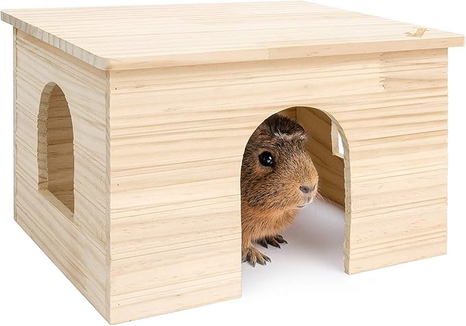 Rodent Wood House with Window